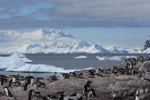 Antarctica 634